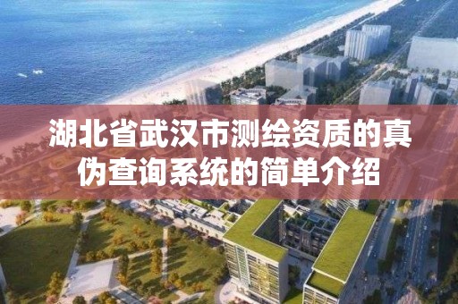 湖北省武漢市測繪資質的真偽查詢系統的簡單介紹