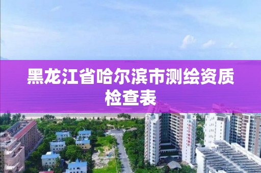 黑龍江省哈爾濱市測繪資質檢查表