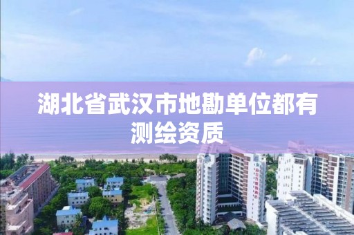 湖北省武漢市地勘單位都有測繪資質(zhì)