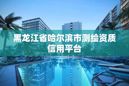 黑龍江省哈爾濱市測繪資質(zhì)信用平臺