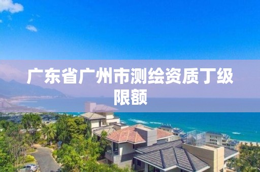 廣東省廣州市測繪資質(zhì)丁級限額