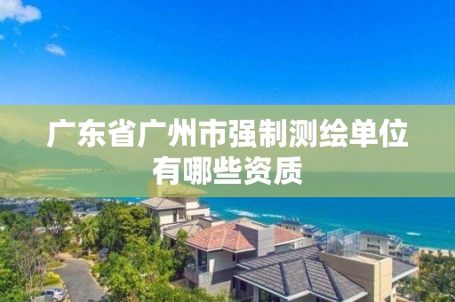 廣東省廣州市強制測繪單位有哪些資質