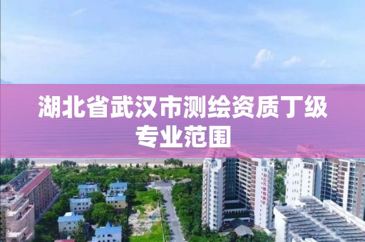 湖北省武漢市測繪資質丁級專業范圍