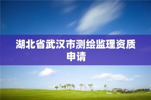 湖北省武漢市測繪監理資質申請