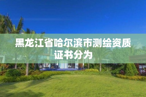 黑龍江省哈爾濱市測繪資質(zhì)證書分為