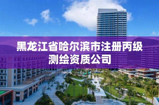 黑龍江省哈爾濱市注冊(cè)丙級(jí)測(cè)繪資質(zhì)公司