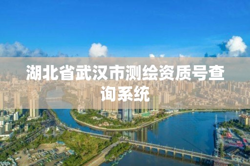 湖北省武漢市測繪資質號查詢系統