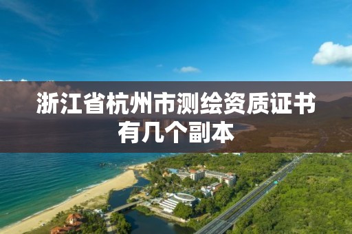 浙江省杭州市測繪資質證書有幾個副本