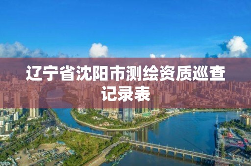 遼寧省沈陽市測繪資質巡查記錄表