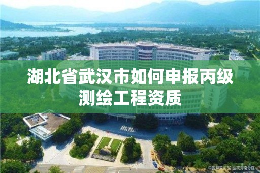 湖北省武漢市如何申報丙級測繪工程資質(zhì)