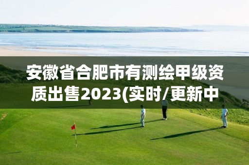 安徽省合肥市有測繪甲級資質出售2023(實時/更新中)