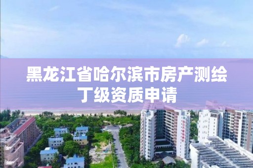 黑龍江省哈爾濱市房產測繪丁級資質申請