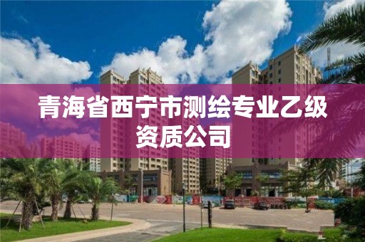 青海省西寧市測繪專業(yè)乙級資質(zhì)公司