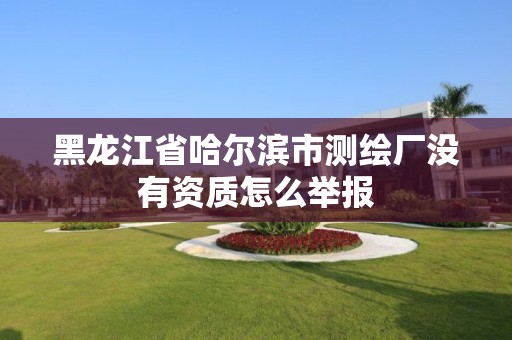 黑龍江省哈爾濱市測繪廠沒有資質怎么舉報