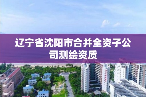 遼寧省沈陽市合并全資子公司測繪資質(zhì)