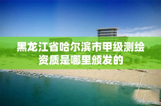 黑龍江省哈爾濱市甲級測繪資質是哪里頒發的