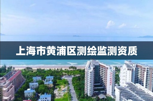 上海市黃浦區測繪監測資質