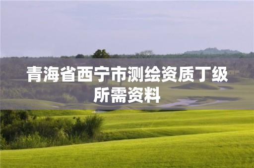 青海省西寧市測繪資質(zhì)丁級所需資料