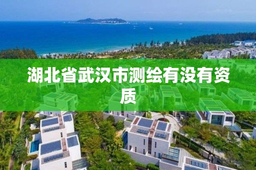 湖北省武漢市測繪有沒有資質