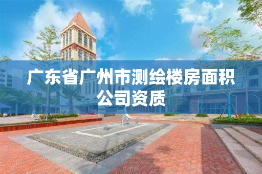 廣東省廣州市測(cè)繪樓房面積公司資質(zhì)