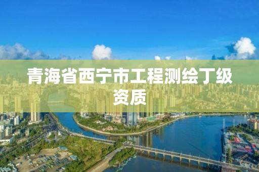 青海省西寧市工程測繪丁級資質