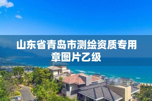 山東省青島市測繪資質(zhì)專用章圖片乙級