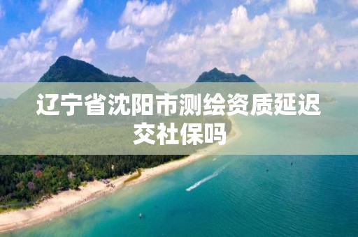 遼寧省沈陽市測繪資質延遲交社保嗎