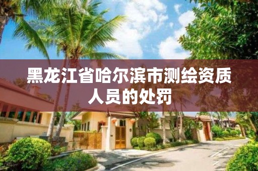 黑龍江省哈爾濱市測繪資質人員的處罰