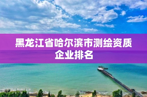 黑龍江省哈爾濱市測繪資質企業(yè)排名