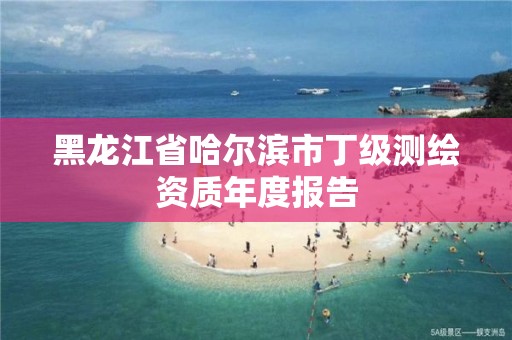 黑龍江省哈爾濱市丁級測繪資質年度報告