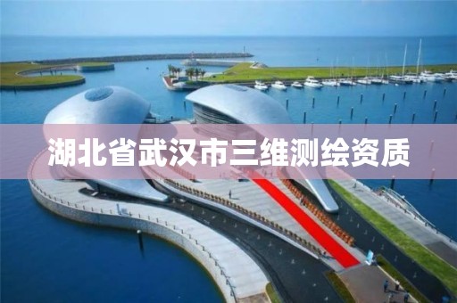 湖北省武漢市三維測繪資質