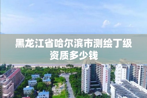 黑龍江省哈爾濱市測繪丁級資質多少錢