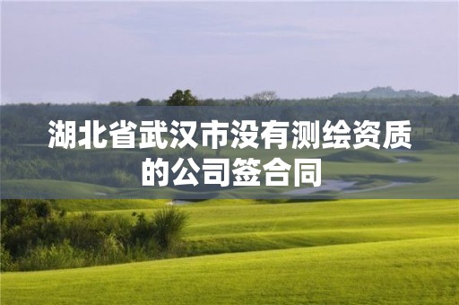 湖北省武漢市沒有測繪資質的公司簽合同