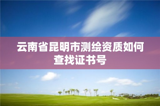 云南省昆明市測繪資質如何查找證書號