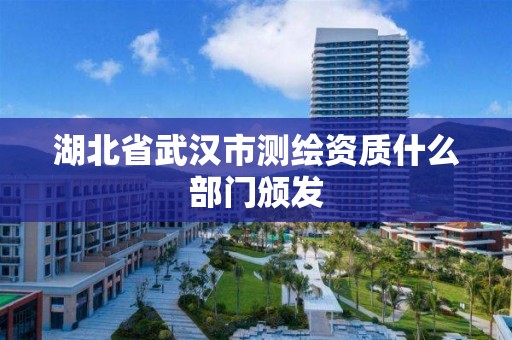 湖北省武漢市測繪資質什么部門頒發