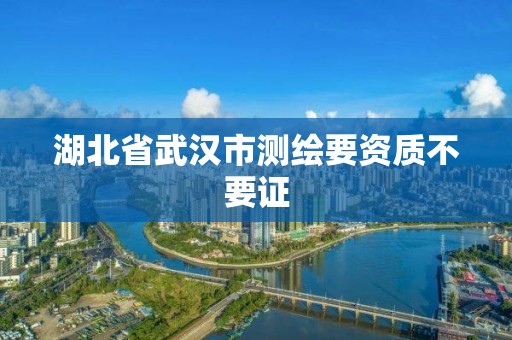 湖北省武漢市測繪要資質不要證