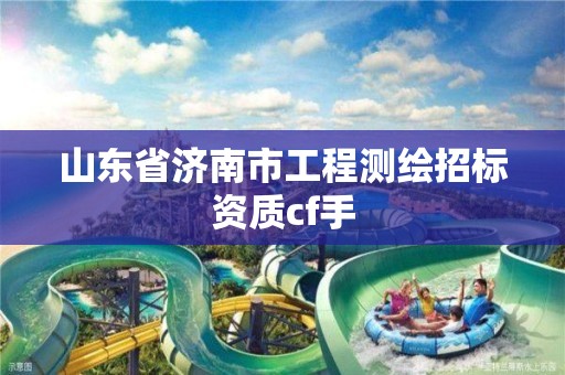 山東省濟南市工程測繪招標資質cf手