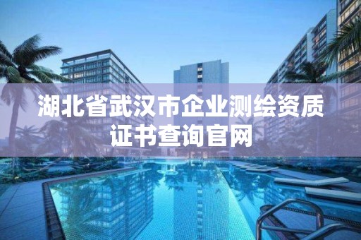 湖北省武漢市企業(yè)測(cè)繪資質(zhì)證書查詢官網(wǎng)