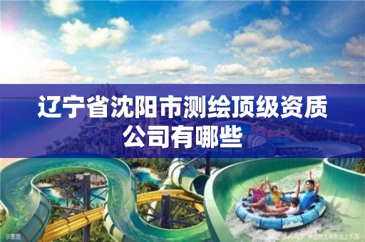 遼寧省沈陽市測繪頂級資質公司有哪些