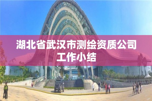 湖北省武漢市測繪資質公司工作小結