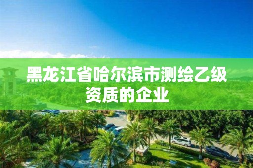 黑龍江省哈爾濱市測繪乙級資質的企業