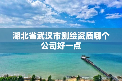 湖北省武漢市測繪資質哪個公司好一點