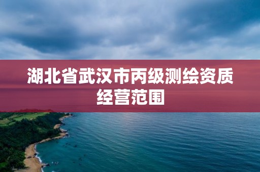 湖北省武漢市丙級測繪資質經營范圍