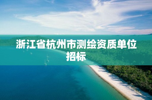 浙江省杭州市測(cè)繪資質(zhì)單位招標(biāo)