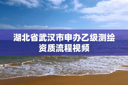 湖北省武漢市申辦乙級測繪資質流程視頻