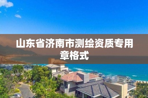 山東省濟南市測繪資質專用章格式