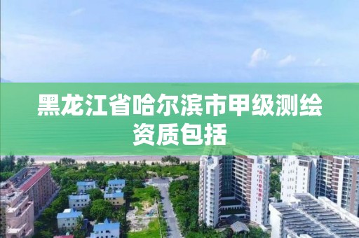 黑龍江省哈爾濱市甲級測繪資質(zhì)包括