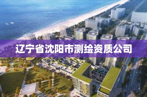 遼寧省沈陽市測繪資質(zhì)公司