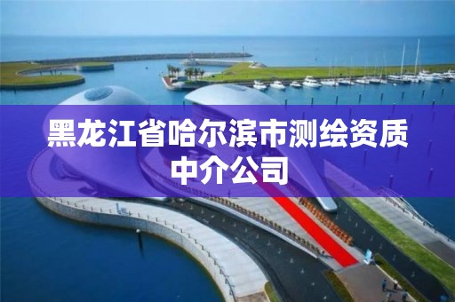 黑龍江省哈爾濱市測繪資質中介公司