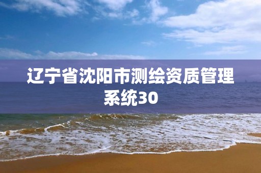 遼寧省沈陽市測繪資質管理系統30